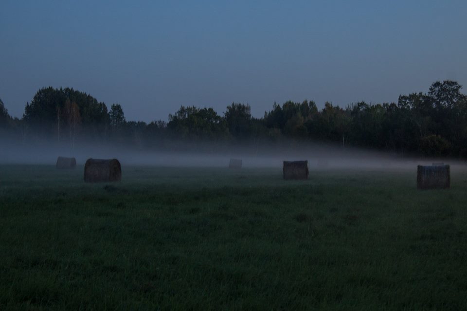 Photo by Sugata Bhattacharya